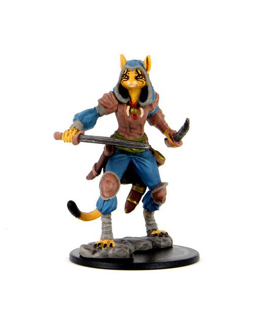 Tabaxi Rogue Female (Painted)