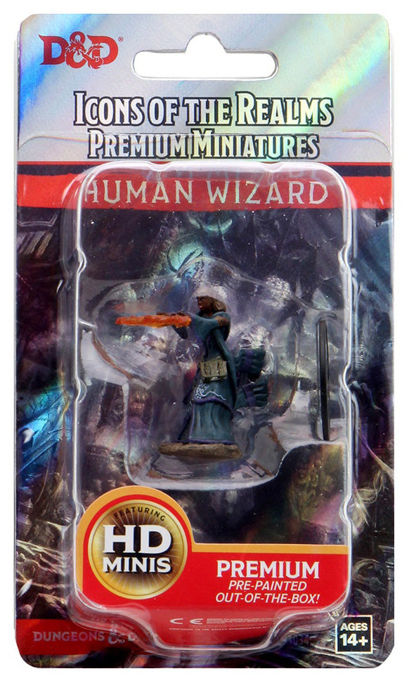 Human Wizard Female (Painted)