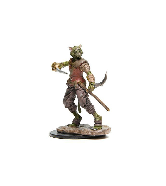 Tabaxi Rogue Male (Painted)