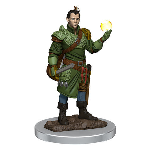 Half-Elf Bard Male (Painted)