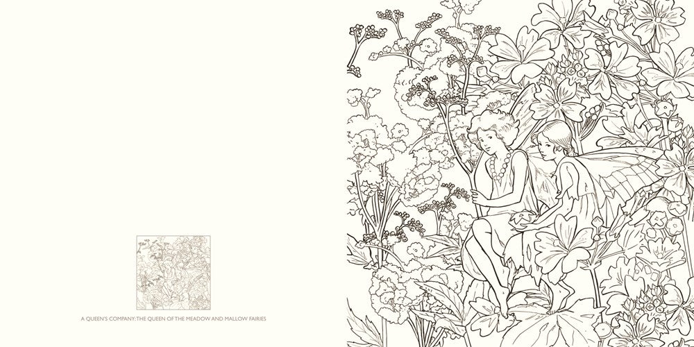 The Flower Fairies Coloring Book