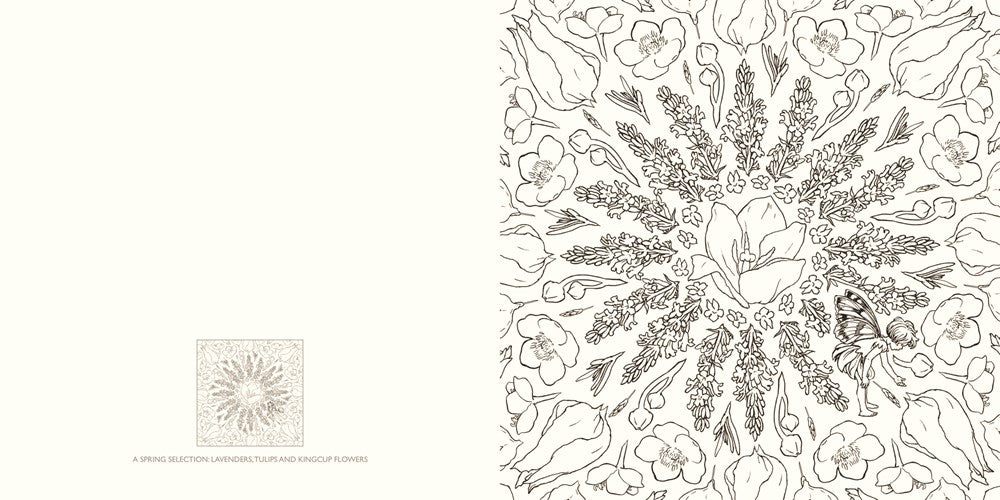 The Flower Fairies Coloring Book