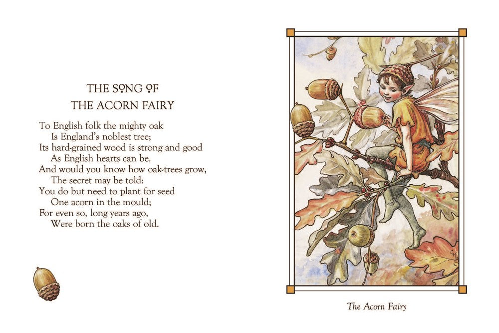 Flower Fairies of the Autumn