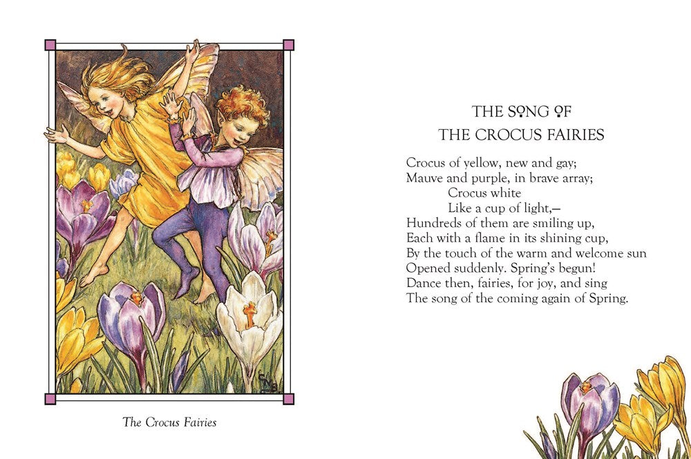 Flower Fairies of the Spring