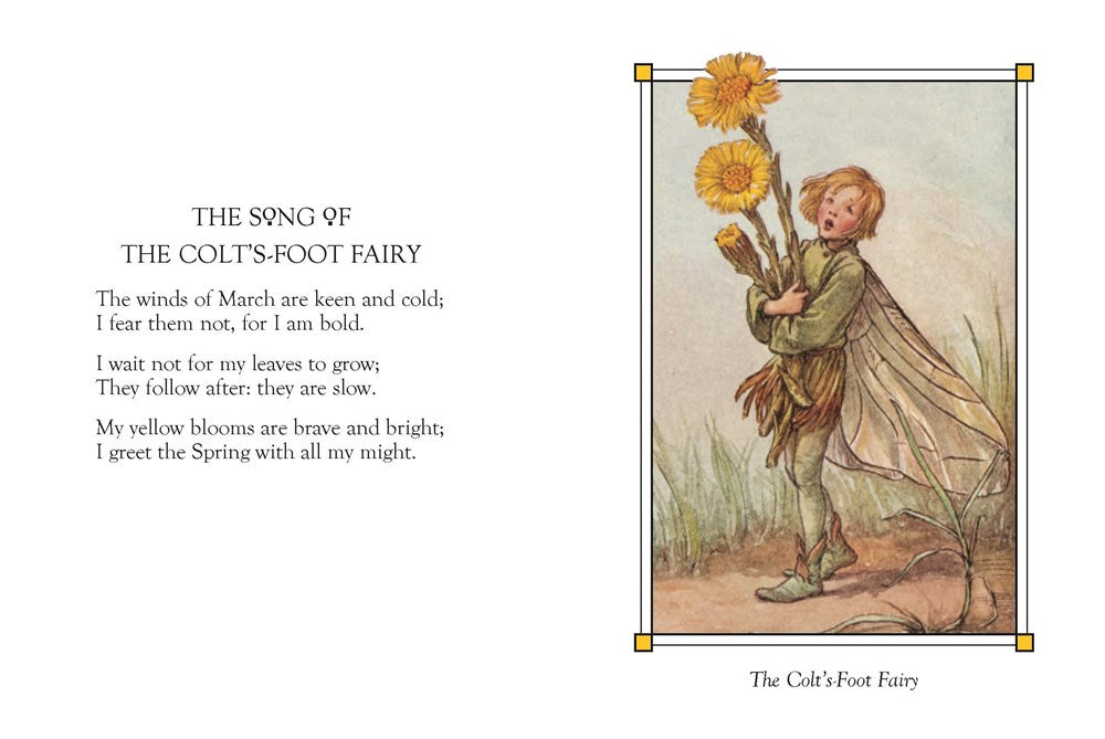 Flower Fairies of the Spring