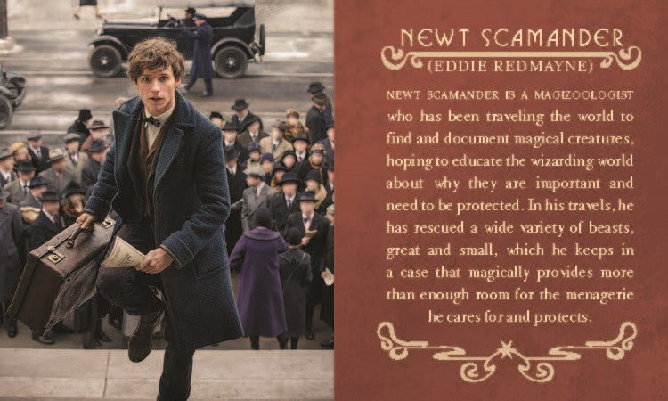 Fantastic Beasts & Where to Find Them: Newt Scamander's Case