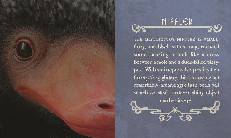 Fantastic Beasts & Where to Find Them: Newt Scamander's Case