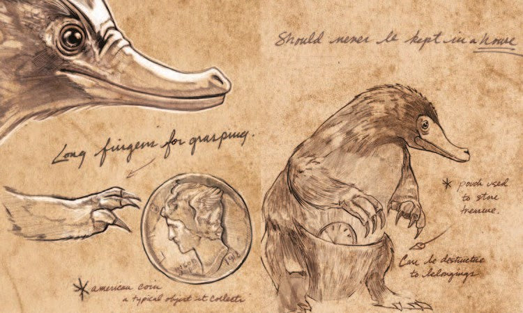 Fantastic Beasts & Where to Find Them: Newt Scamander's Case