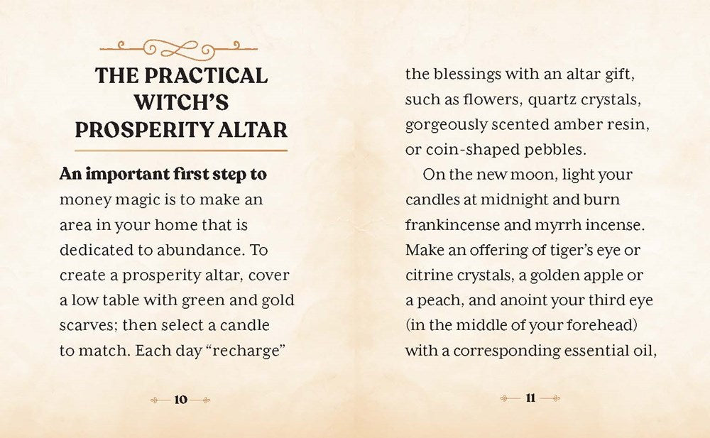 The Witches' Wealth Spell Book