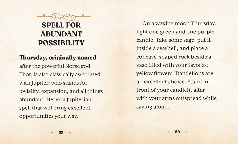 The Witches' Wealth Spell Book