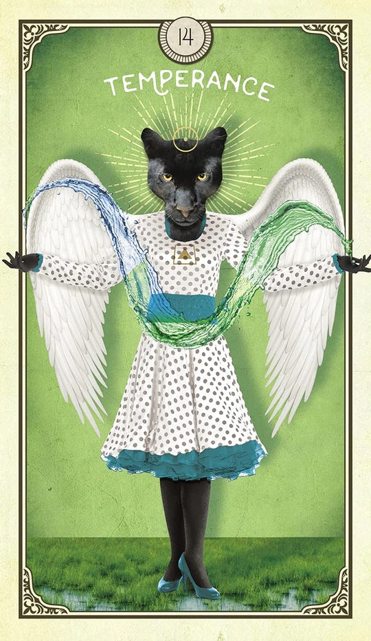Tarot of Curious Creatures
