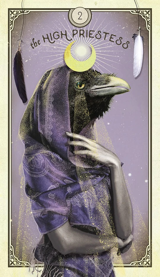 Tarot of Curious Creatures