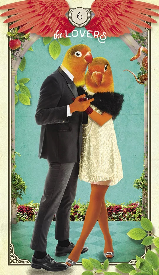 Tarot of Curious Creatures