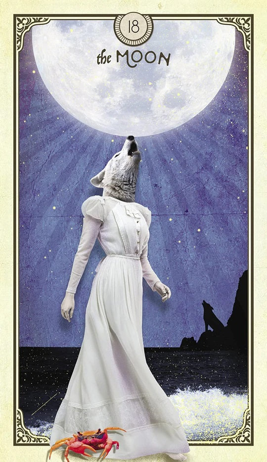 Tarot of Curious Creatures