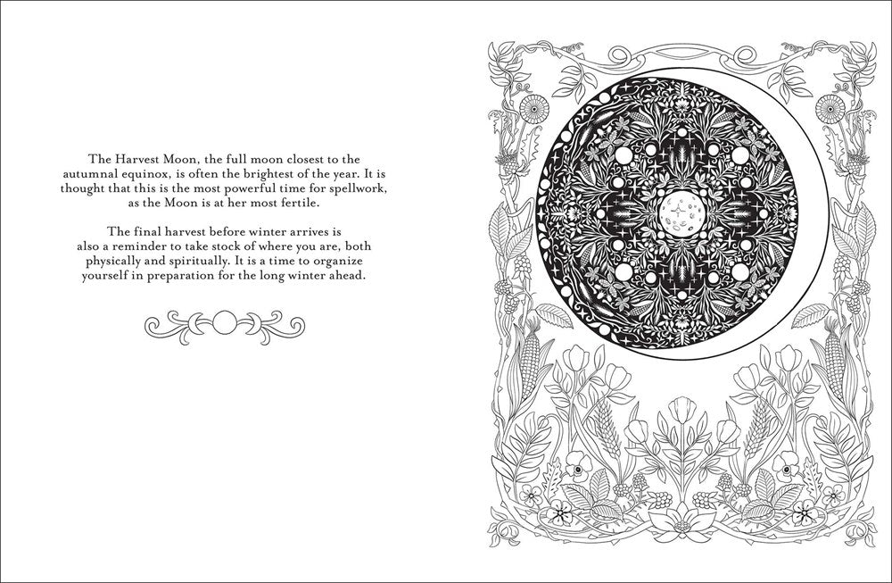 Believe in Magic: An Enchanting Coloring Book
