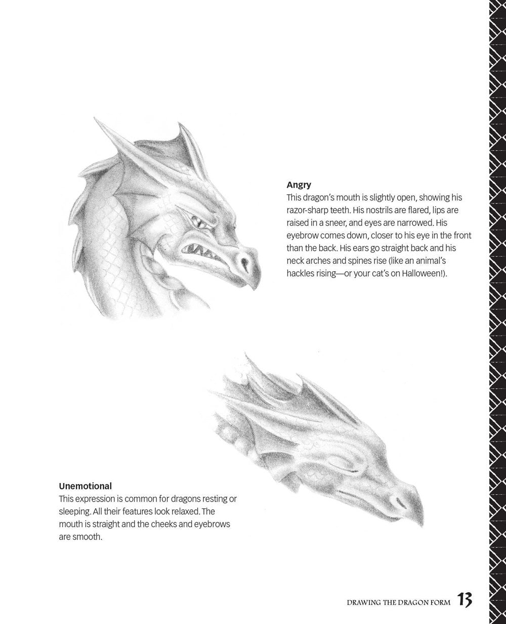 Drawing Dragons