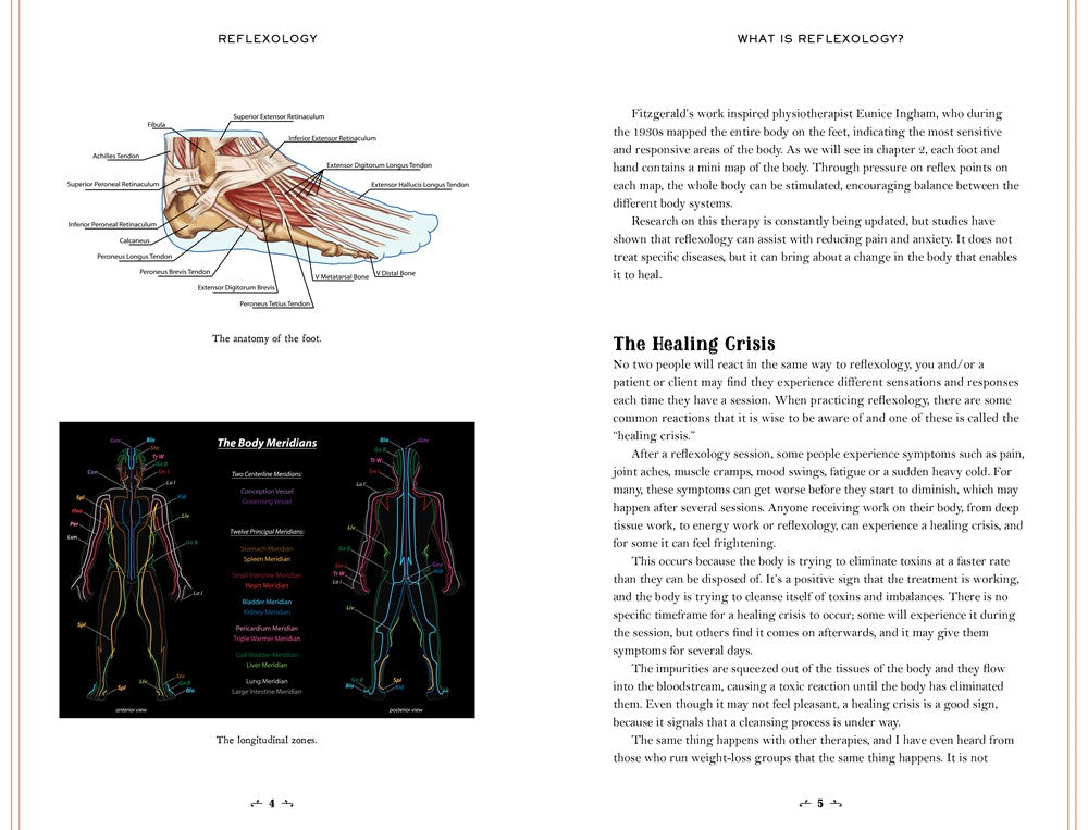 In Focus Reflexology