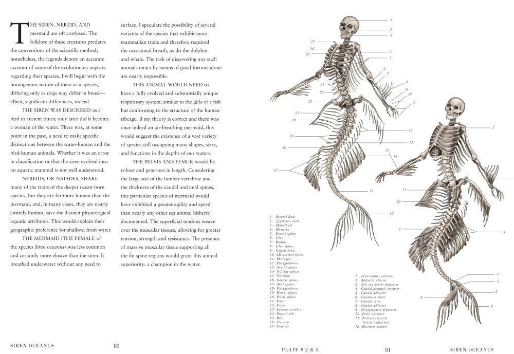 The Resurrectionist