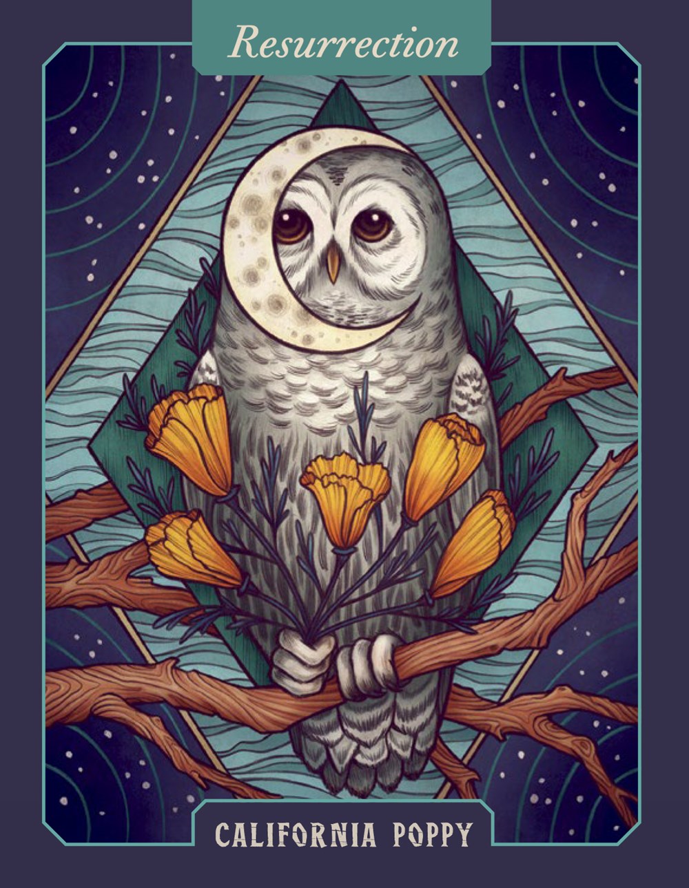 The Illustrated Herbiary Oracle
