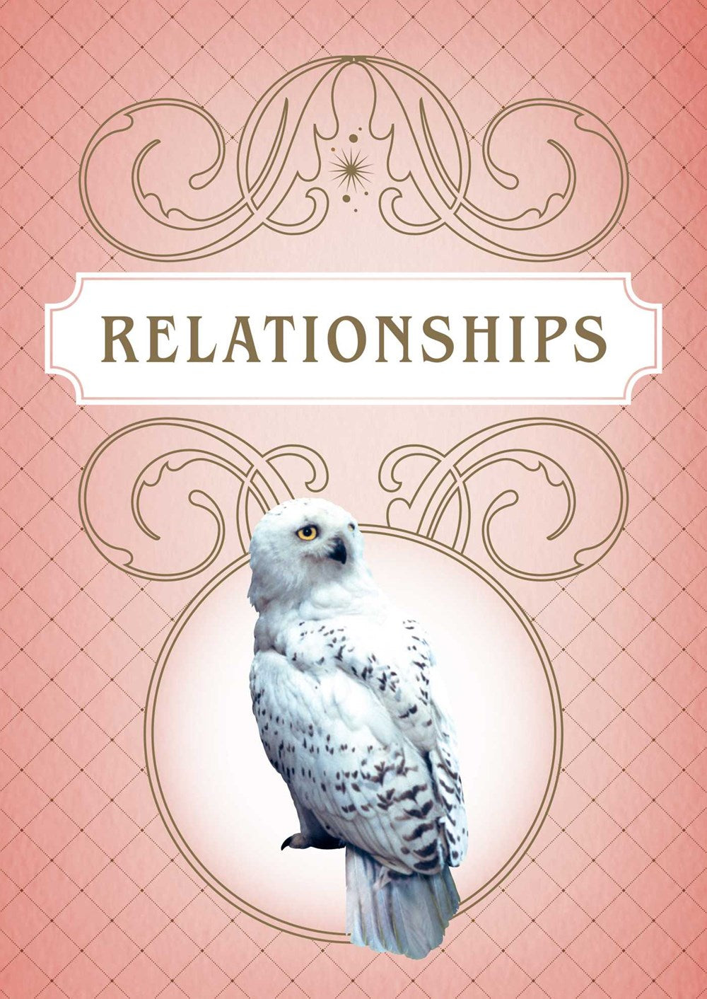 Harry Potter: Magical Meditations Cards