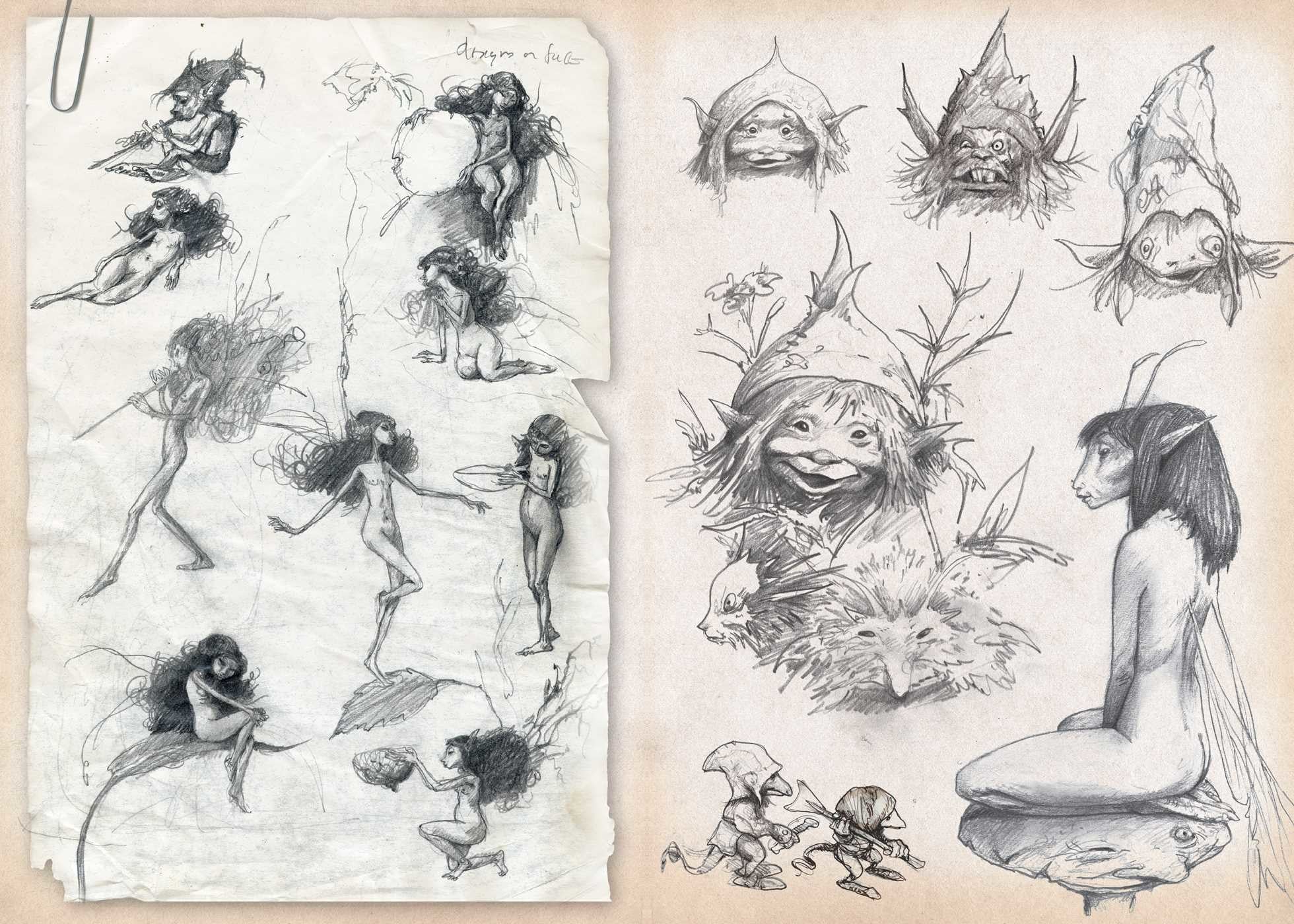 Brian Froud Deluxe Hardcover Sketchbook