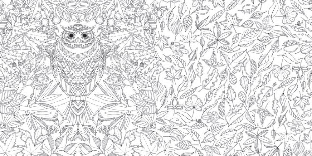 Secret Garden Coloring Book