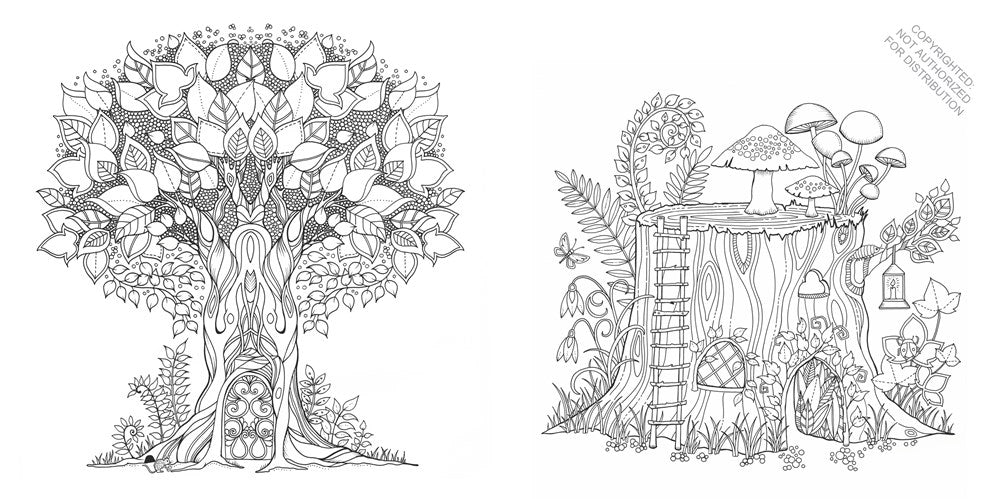 Enchanted Forest Coloring Book