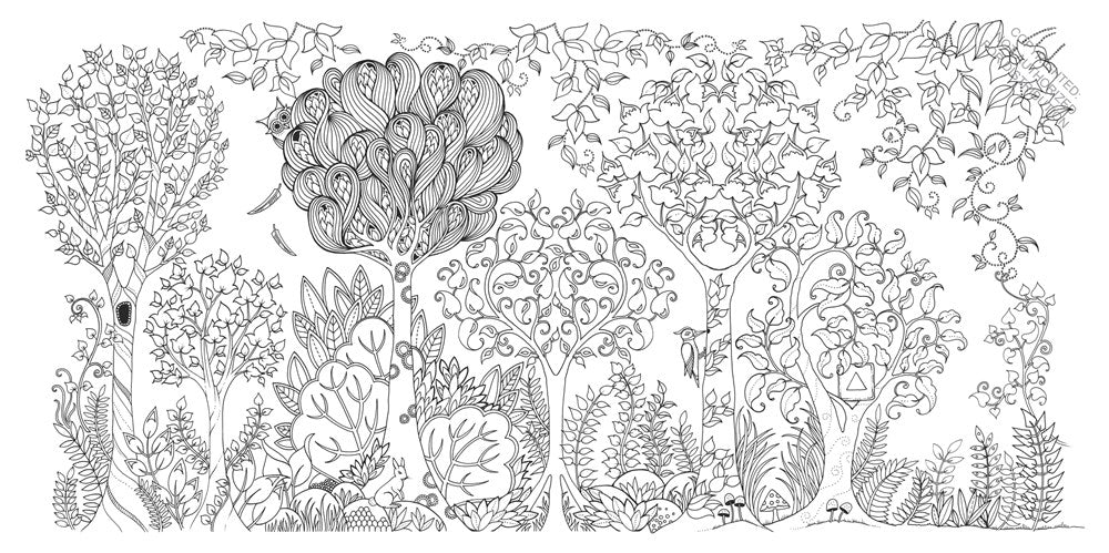 Enchanted Forest Coloring Book