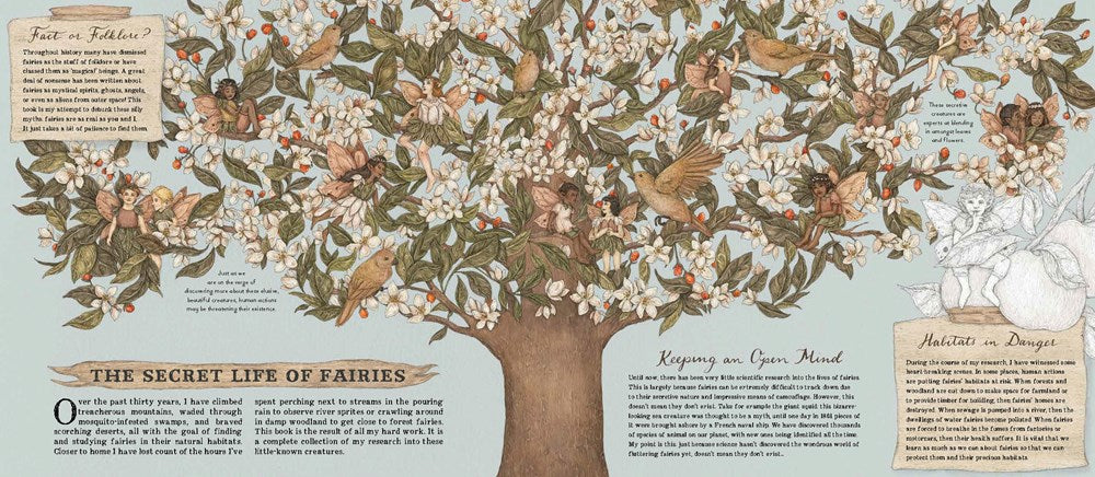 A Natural History of Fairies