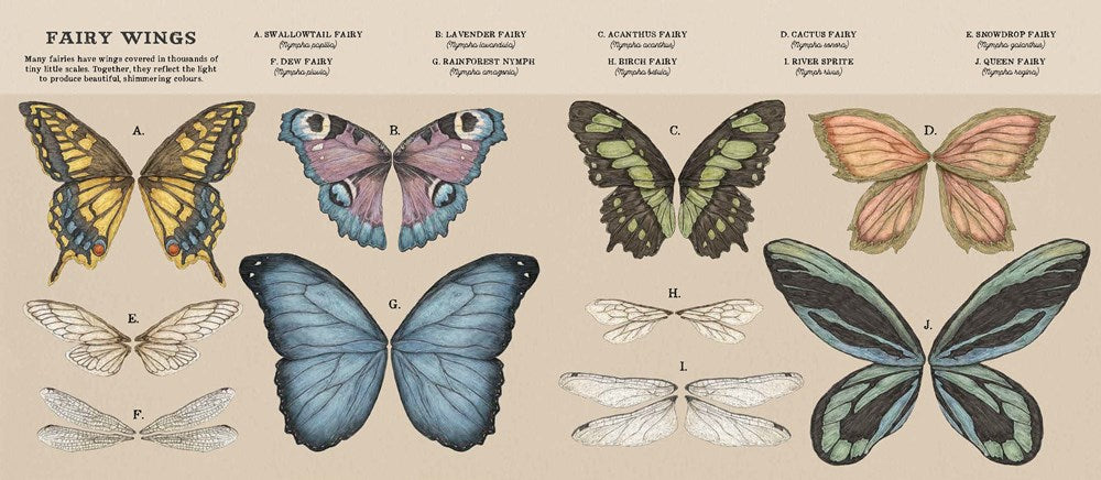 A Natural History of Fairies
