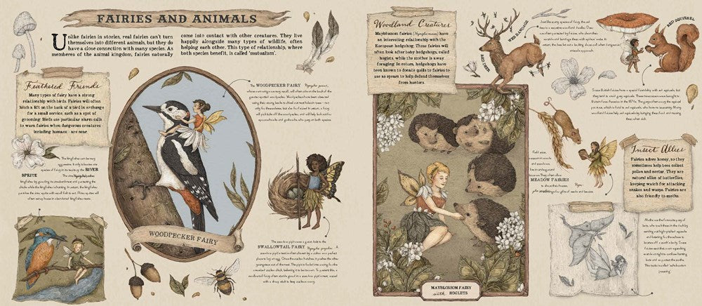 A Natural History of Fairies