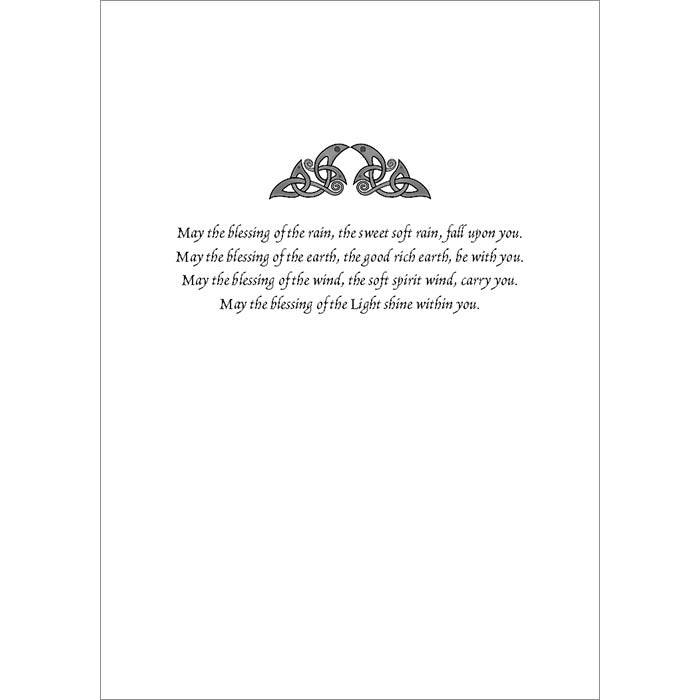 Yule Tree Holiday Boxed Set