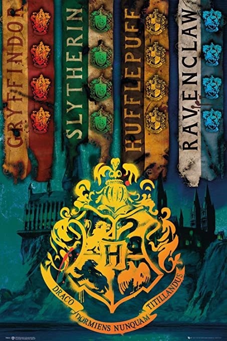 Harry Potter House Flags Poster