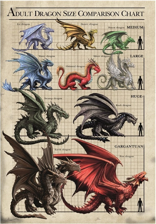 Size Chart Dragons Card -- DragonSpace