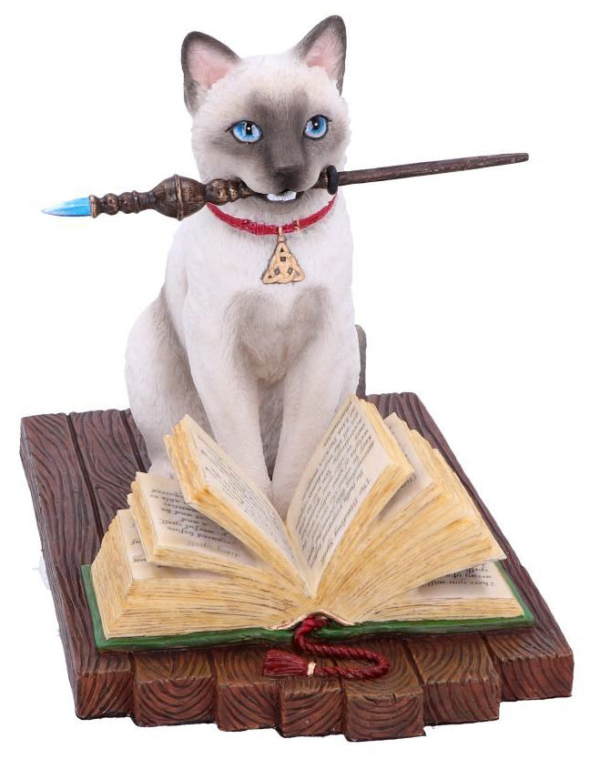 Hocus Pocus Cat DragonSpace Gift Shop