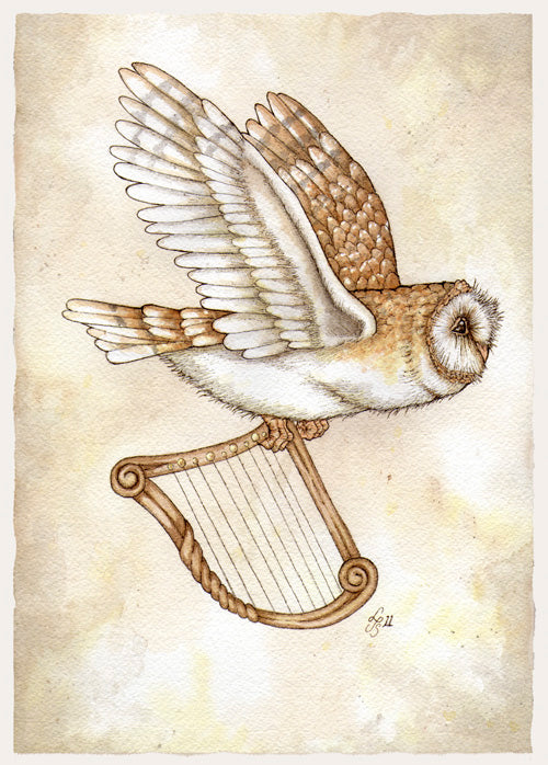 Owl with Harp Card