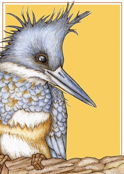 Kingfisher Moderne Card