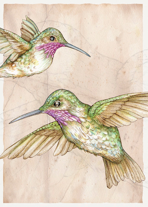 Hummingbirds Card