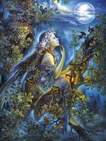 Dreamer Fairy Card