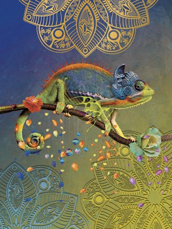 Chameleon Card