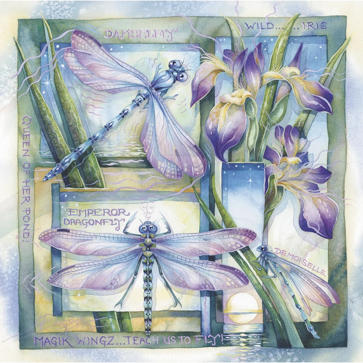 Dragonflies & Irises Card