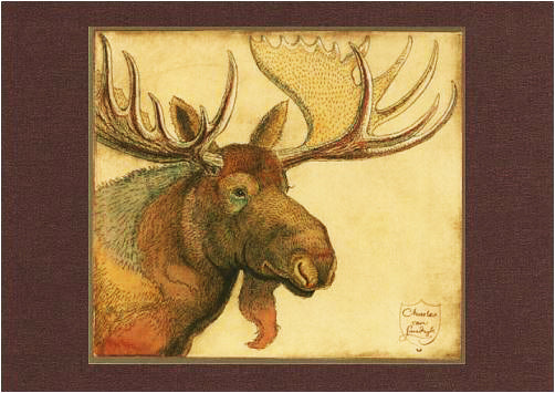 Moose Rack Card
