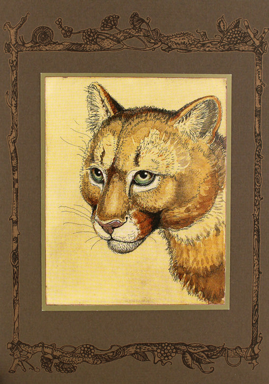 Cougar Card -- DragonSpace