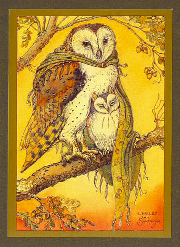 Owls in Oak Card