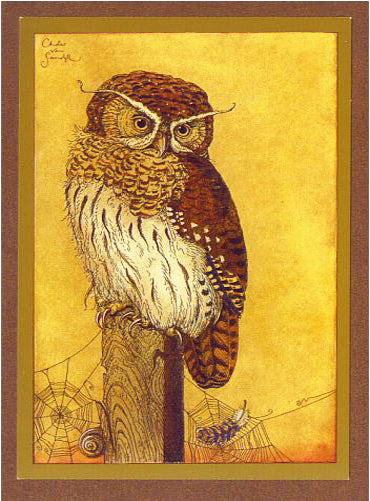 Spirit Owl Card -- DragonSpace