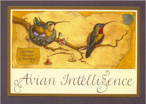 Avian Intelligence Card -- DragonSpace