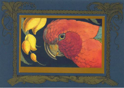 Parrot with Mango Card