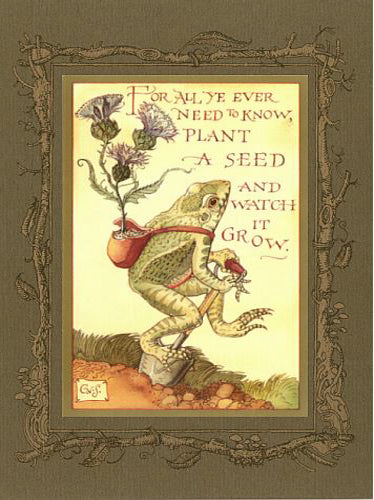 Frog Planting Card -- DragonSpace