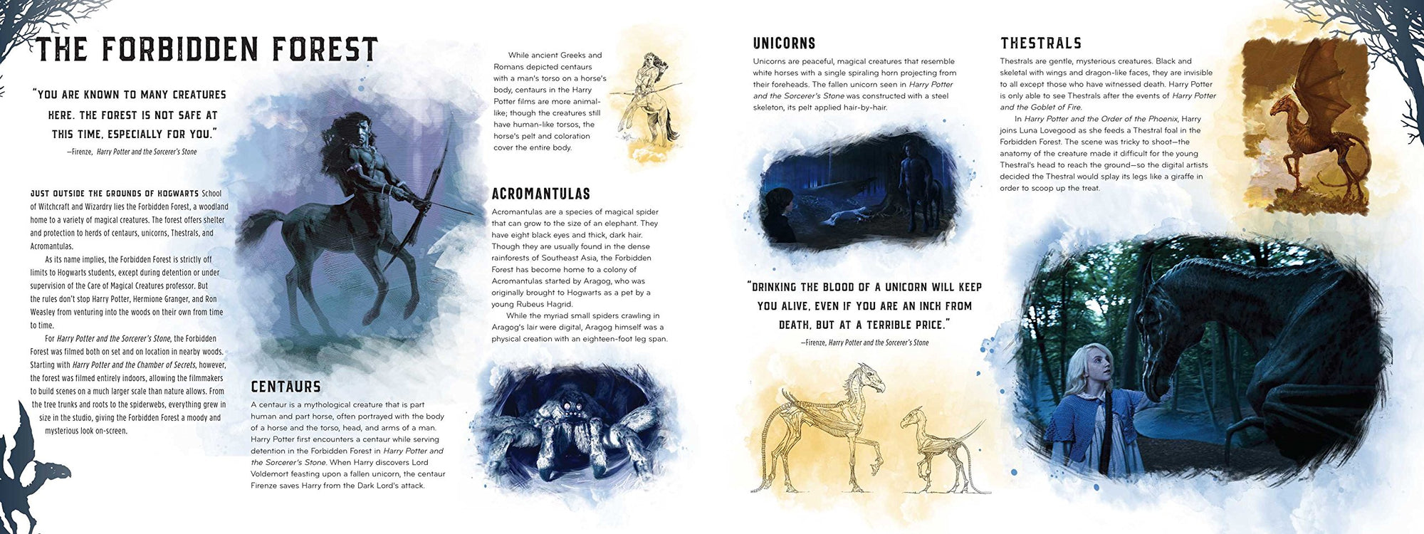 Harry Potter Creatures: A Paper Scene Book