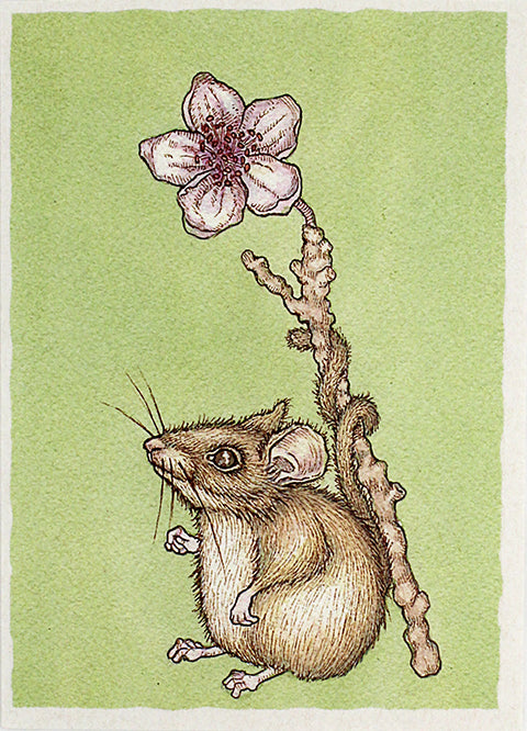 Sakura Mouse Card